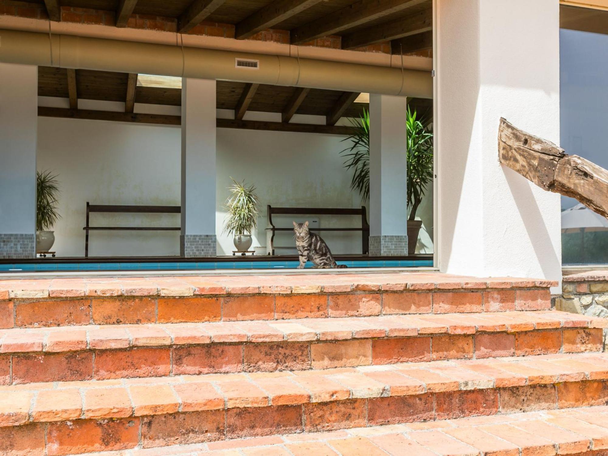 Holiday Home Ciliegiolo By Interhome Cinigiano Dış mekan fotoğraf